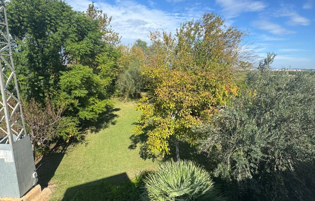 Masía en Benaguasil