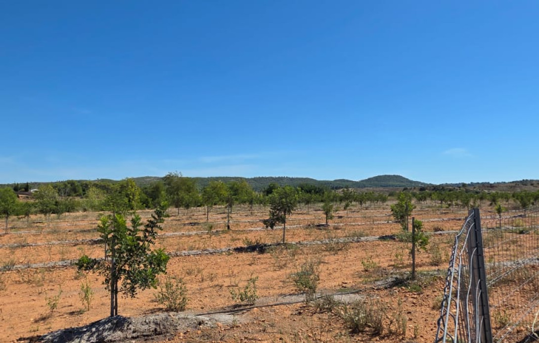 Terreno en venta