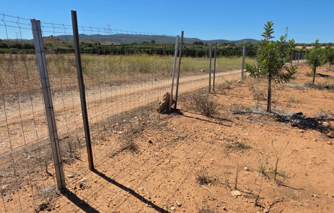 Terreno en venta