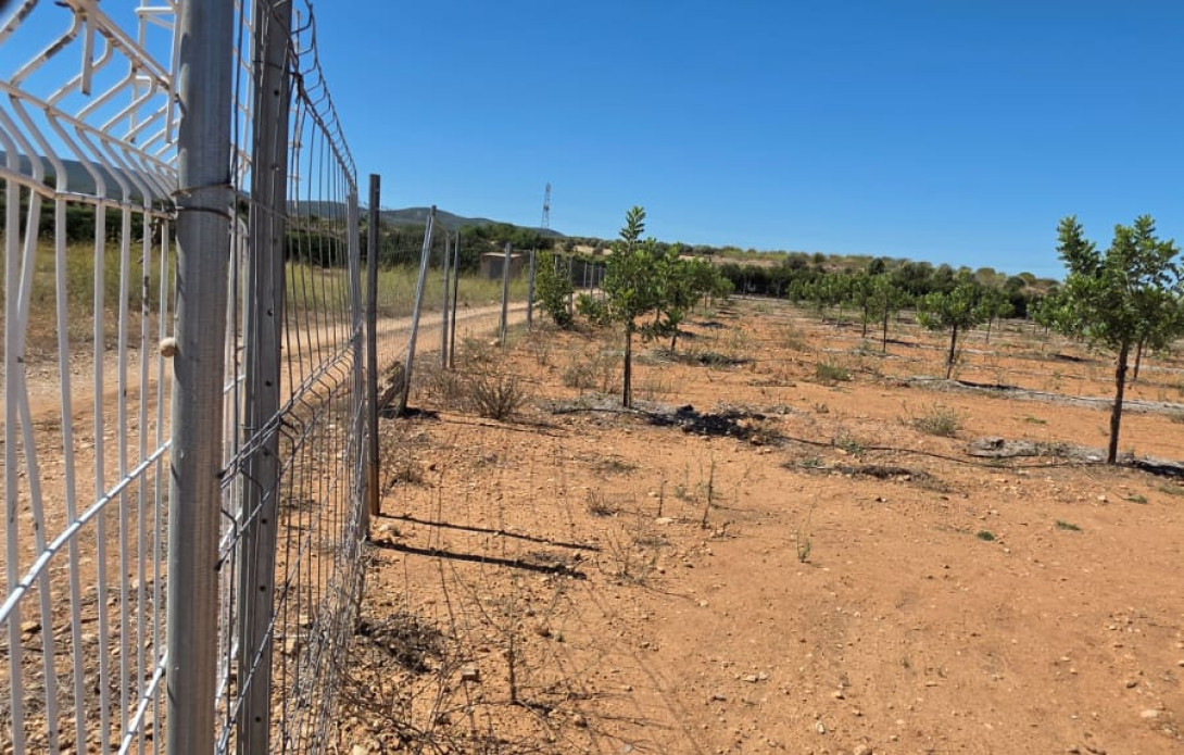 Terreno en venta