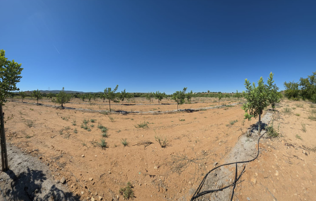 Terreno en venta