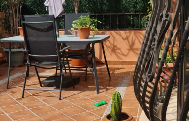 Chalet adosado en Almassera