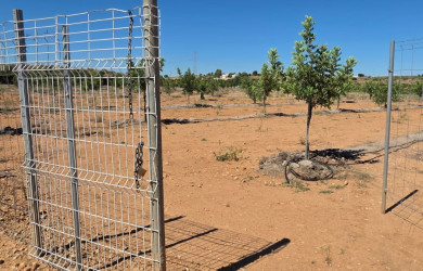 Terreno en venta