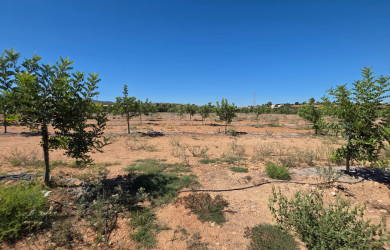 Terreno en venta